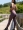 Contrast Piping Leggings in Plum